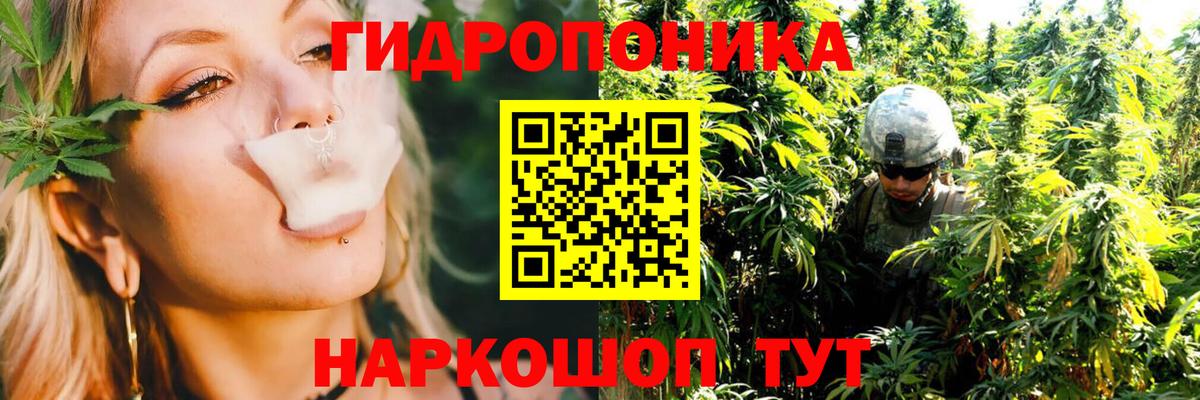 Марихуана White Widow Новокузнецк